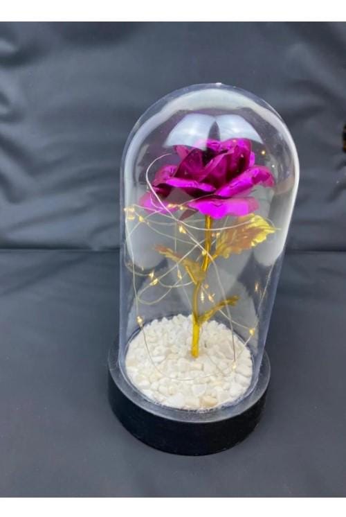 Eternity Rose Gift, Eternity Rose, Home Decoration Unfading Rose, Romantic Gift for Lover | Mother's Day Gift | LED Light Glass Dome Rose