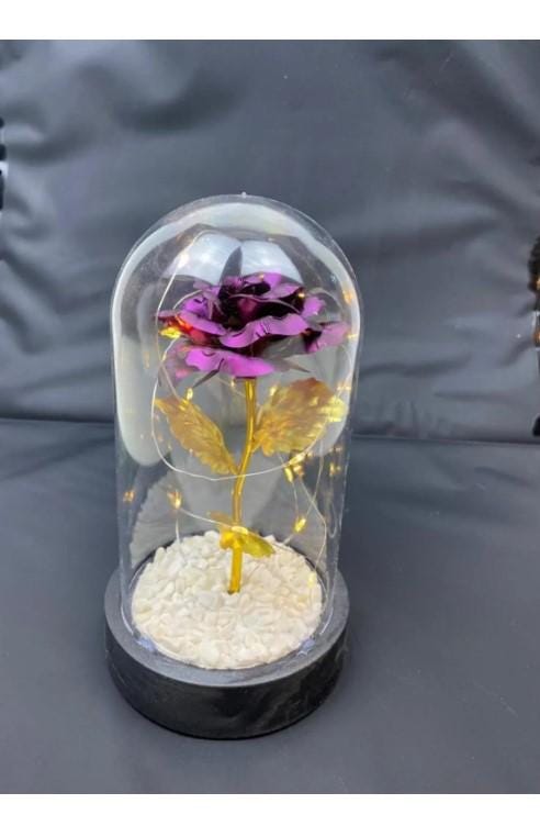 Eternity Rose Gift, Eternity Rose, Home Decoration Unfading Rose, Romantic Gift for Lover | Mother's Day Gift | LED Light Glass Dome Rose