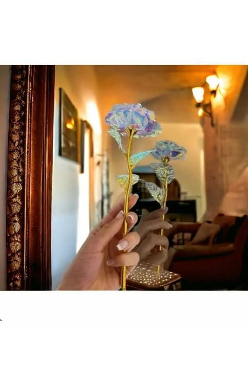 Eternity Rose Gift, Eternity Rose, Home Decoration Unfading Rose, Romantic Gift for Lover | Mother's Day Gift |