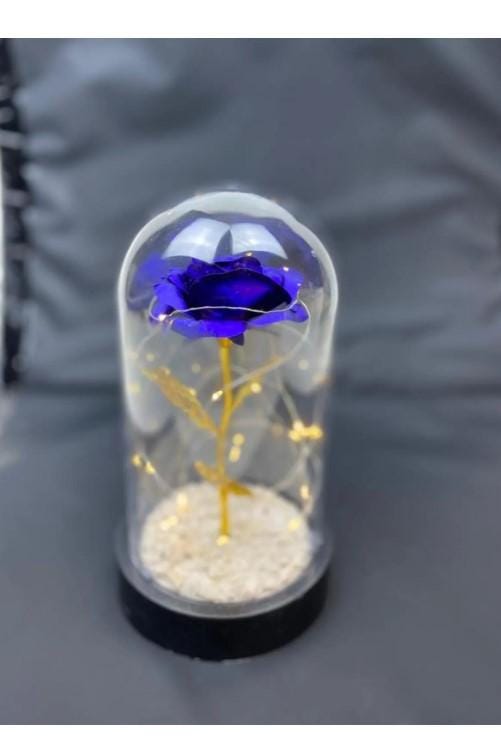 Eternity Rose Gift, Eternity Rose, Home Decoration Unfading Rose, Romantic Gift for Lover | Mother's Day Gift | LED Light Glass Dome Rose