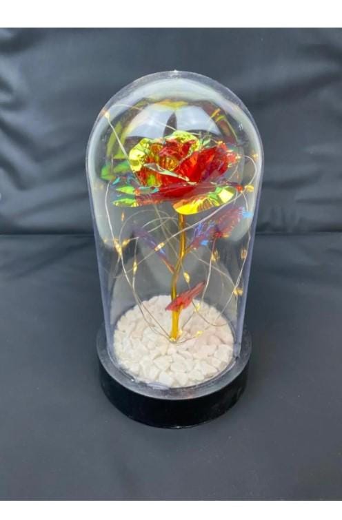 Eternity Rose Gift, Eternity Rose, Home Decoration Unfading Rose, Romantic Gift for Lover | Mother's Day Gift | LED Light Glass Dome Rose