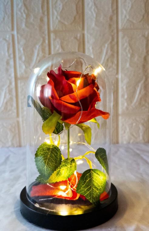 LED Illuminated Glass Dome Rose, LED Illuminated, Non-Fading Red Rose Lamp and Rose Gold Plated Necklace, Romantic Gift for Lover