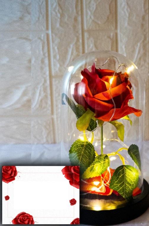 LED Illuminated Glass Dome Rose, LED Illuminated, Non-Fading Red Rose Lamp and Rose Gold Plated Necklace, Romantic Gift for Lover