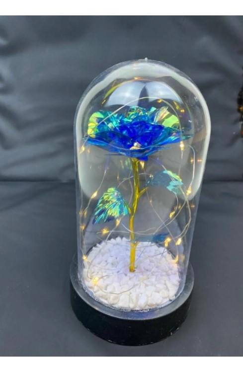 Eternity Rose Gift, Eternity Rose, Home Decoration Unfading Rose, Romantic Gift for Lover | Mother's Day Gift | LED Light Glass Dome Rose
