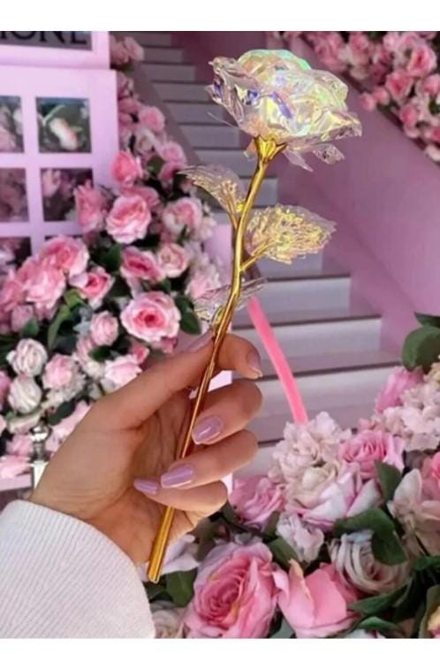 Eternity Rose Gift, Eternity Rose, Home Decoration Unfading Rose, Romantic Gift for Lover | Mother's Day Gift |