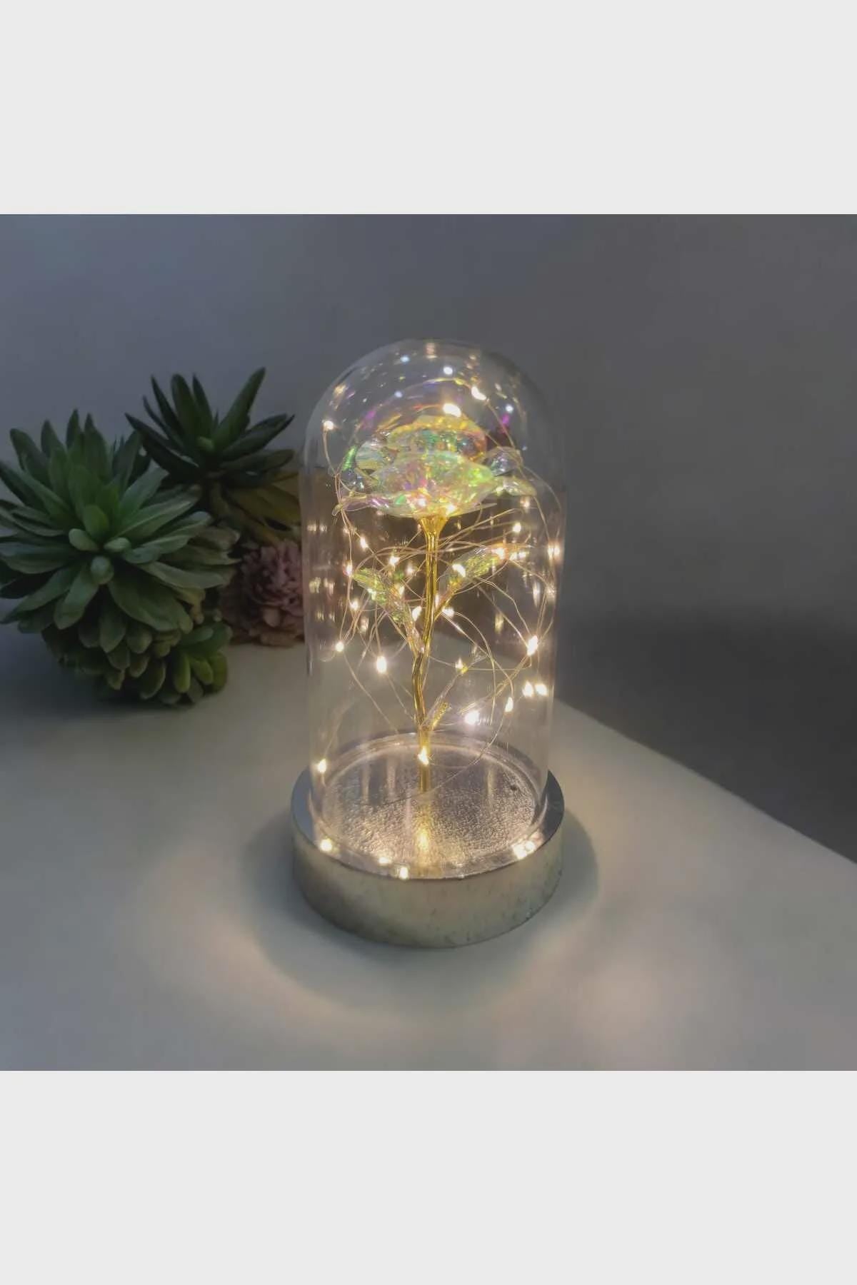 Eternity Rose Gift, Eternity Rose, Home Decoration Unfading Rose, Romantic Gift for Lover | Mother's Day Gift | LED Light Glass Dome Rose