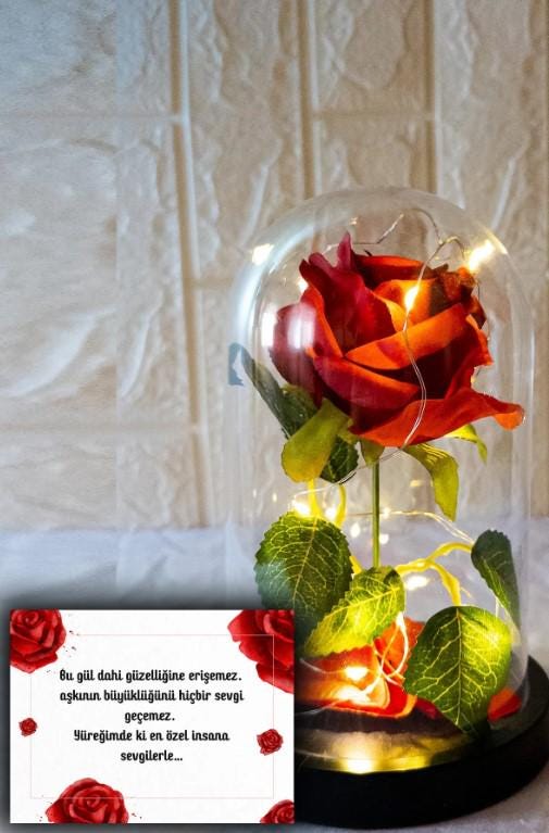 LED Glass Dome Rose, Fading Red Rose Lamp with Fairy LED Light and Lotus Camellia Flower Necklace in a Bell Jar, Romantic Gift for Lover