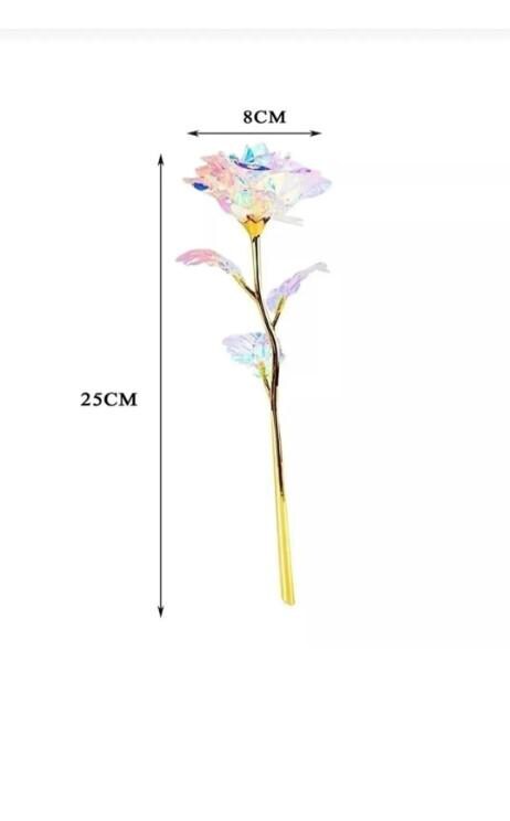 Eternity Rose Gift, Eternity Rose, Home Decoration Unfading Rose, Romantic Gift for Lover | Mother's Day Gift |